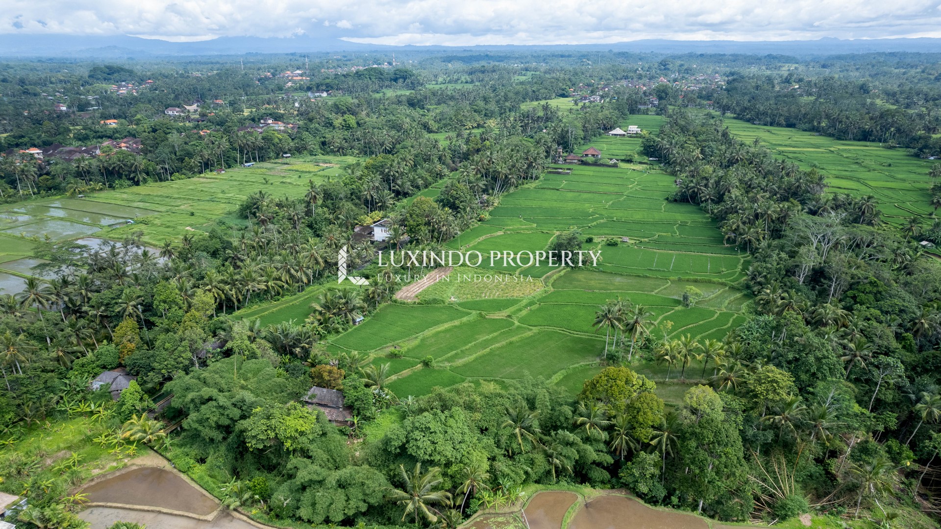 KENDERAN – 20.42 ARE LAND WITH 360° GREEN VIEW FOR SALE IN TEGALLALANG (FHL523) 